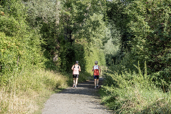 Lauf- und Wanderwege in der Umgebung